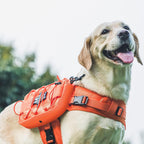 OneTigris dog harness backpack side profile with pouches