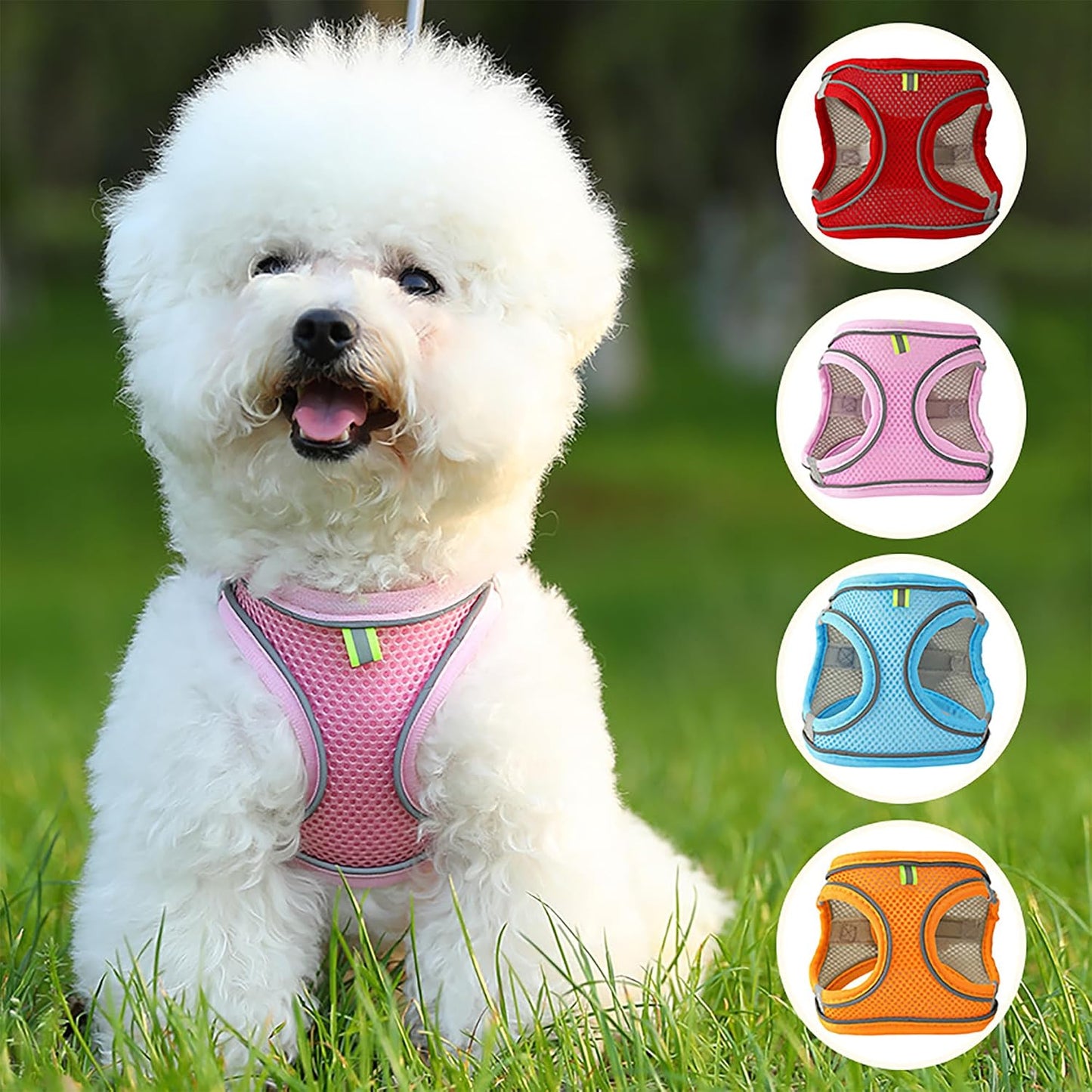Comfortable dog walking vest harness for small breeds