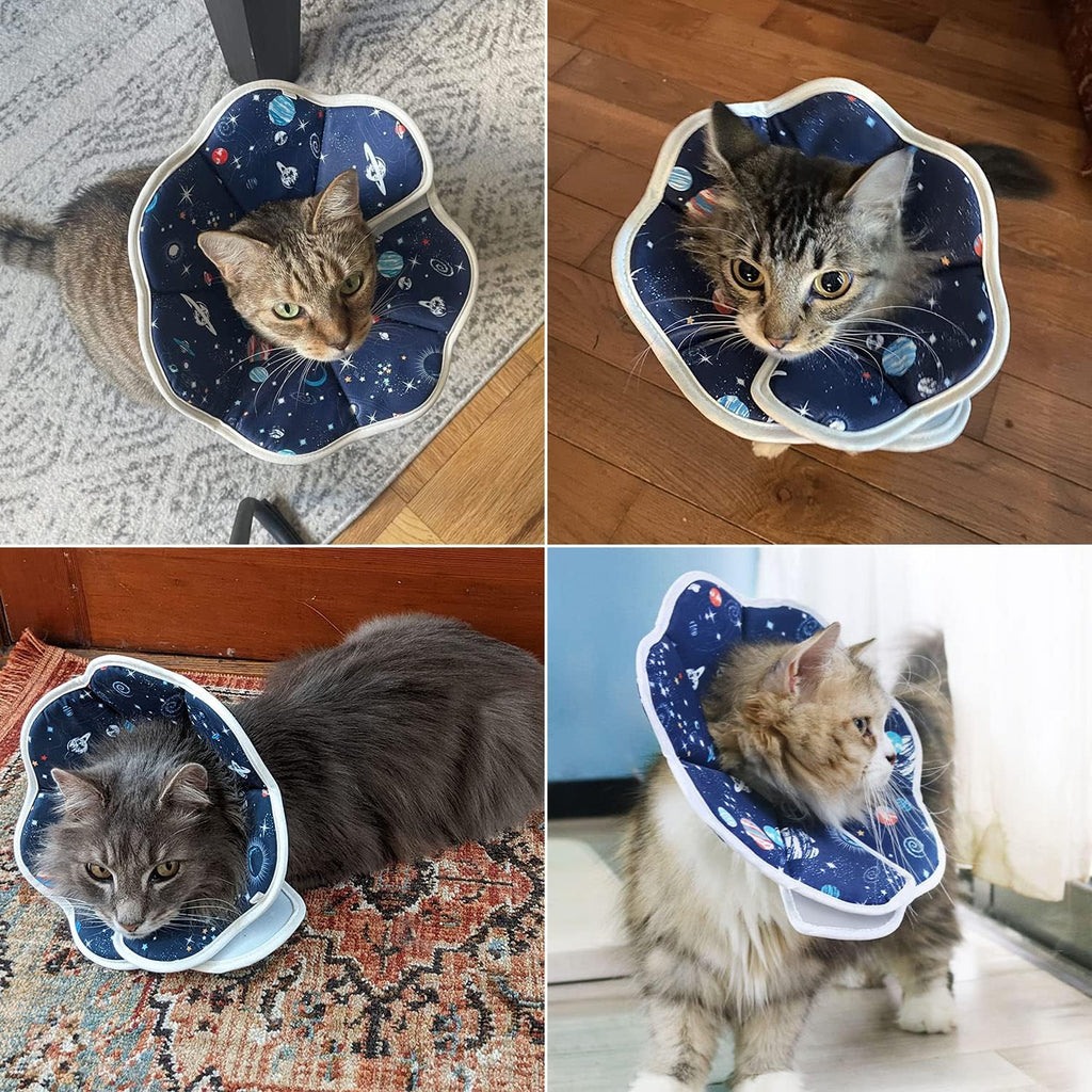 QIYADIN lightweight puppy and cat cone during post operative healing
