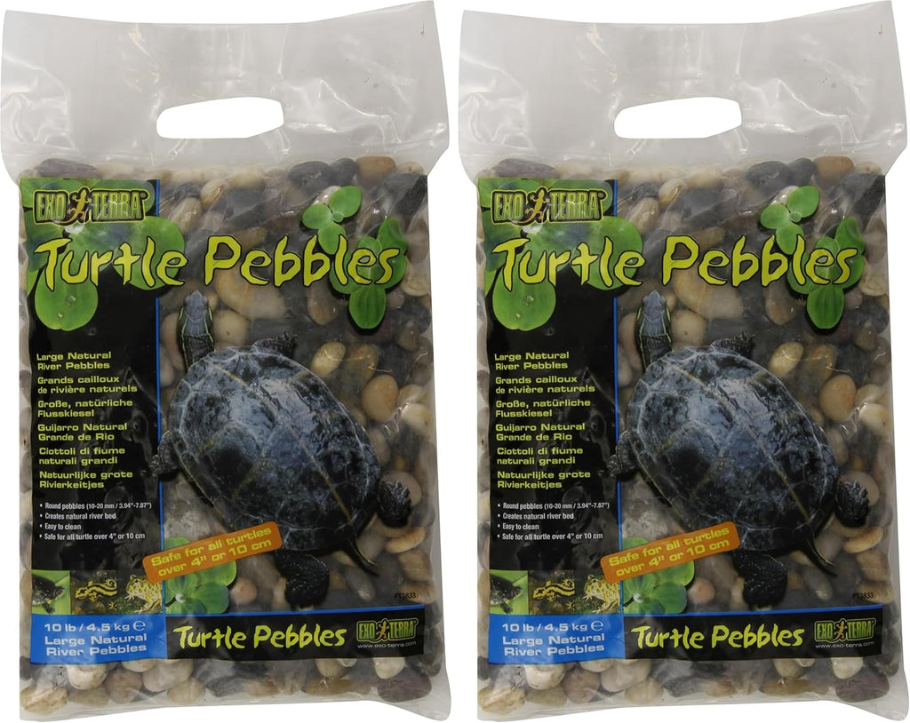 Exo Terra turtle substrate stones in aquatic tank
