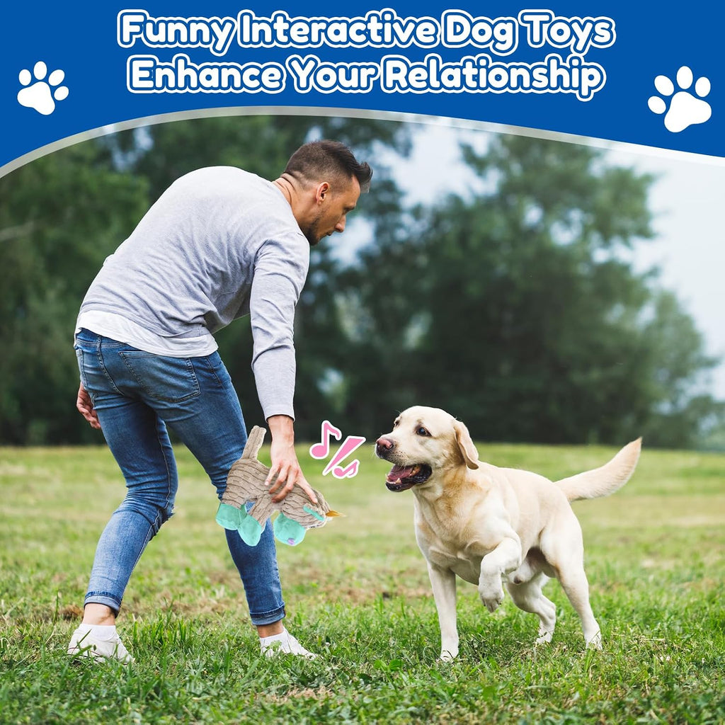 Loncoldy dog toy featuring crinkle and squeaky elements