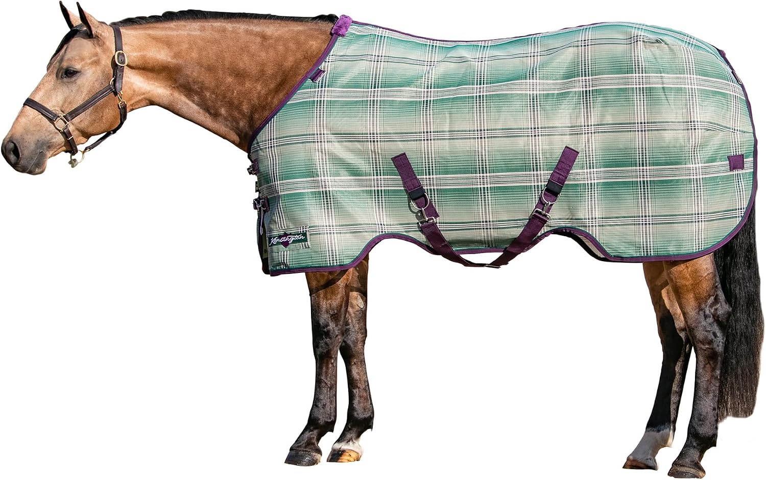 Kensington Signature Mini Textilene Protective Fly Sheet - Image 15