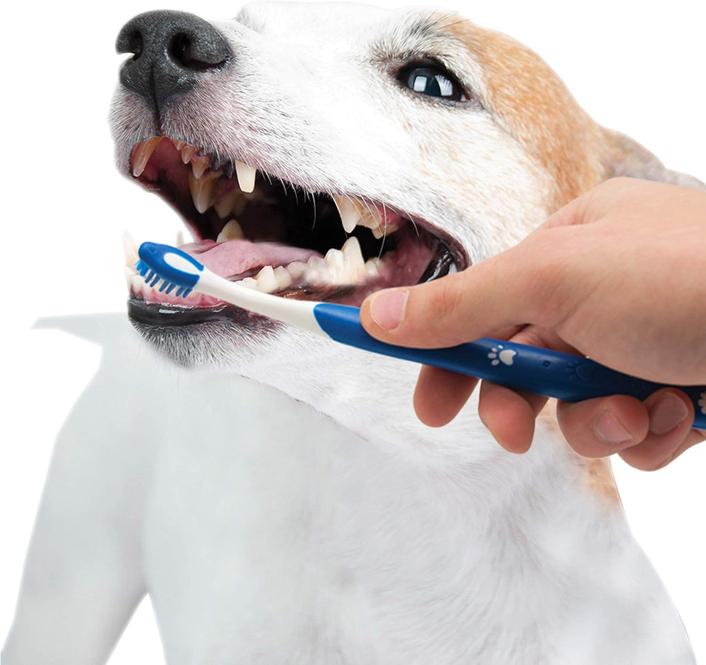Nylabone Advanced Oral Care Puppy Dental Kit Puppy Original 3 Count - Image 10