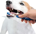 Nylabone Advanced Oral Care Puppy Dental Kit Puppy Original 3 Count - Image 10