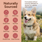 Authentic USA imported pet health supplement bottle