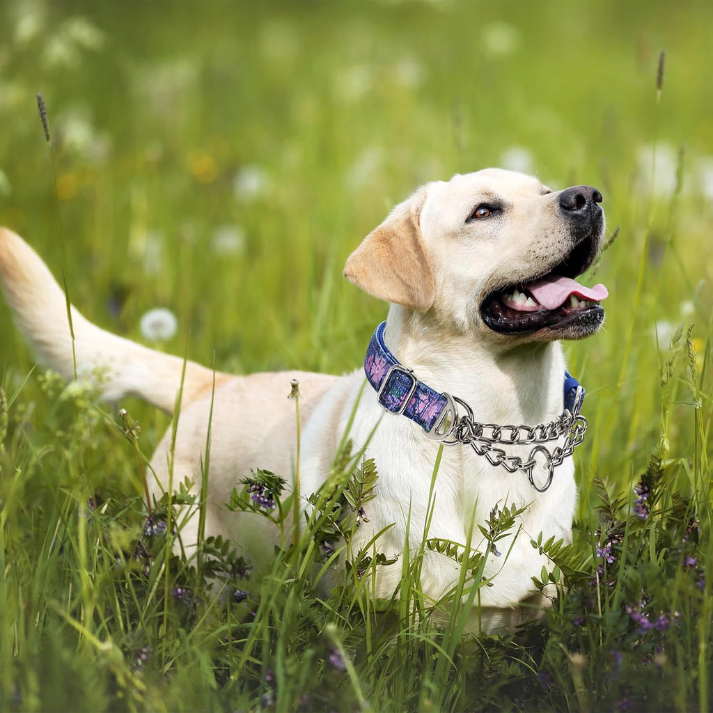 MAOWUWUJOZ reflective dog collar with stainless steel chain close up.