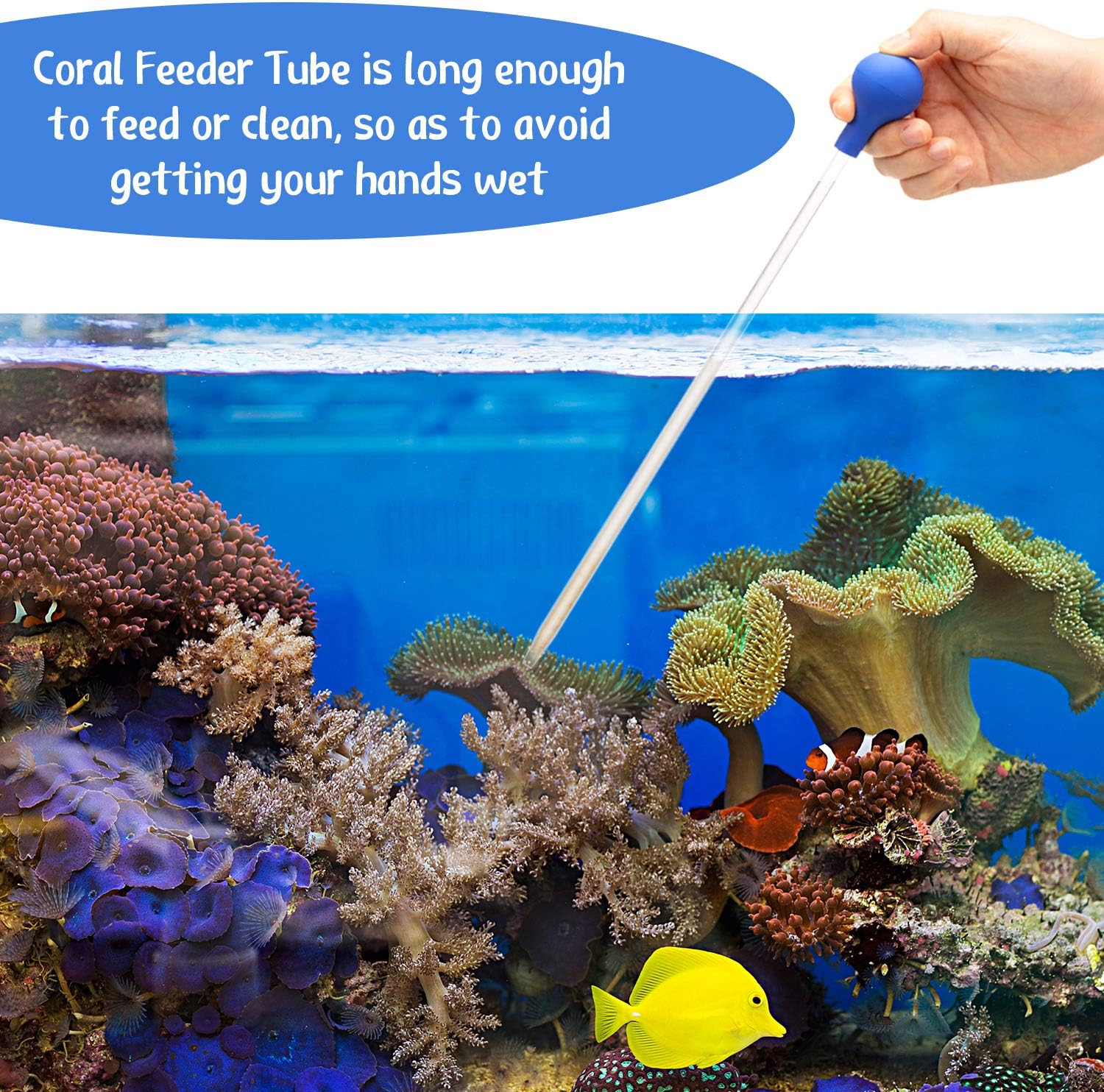 Aquarium spot cleaning pipette tool for removing debris from hard to reach areas.