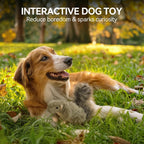 All For Paws wildlife collection squirrel plush toy for active small dogs