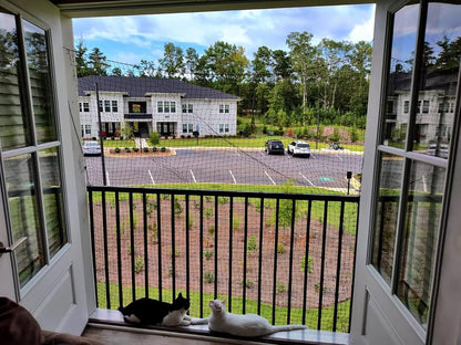 Cat looking through Lumirio balcony safety barrier