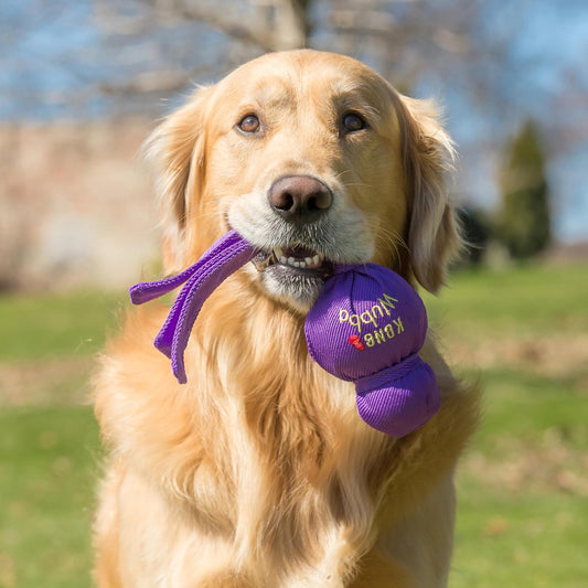 USA imported KONG Wubba showing long floppy nylon tails.