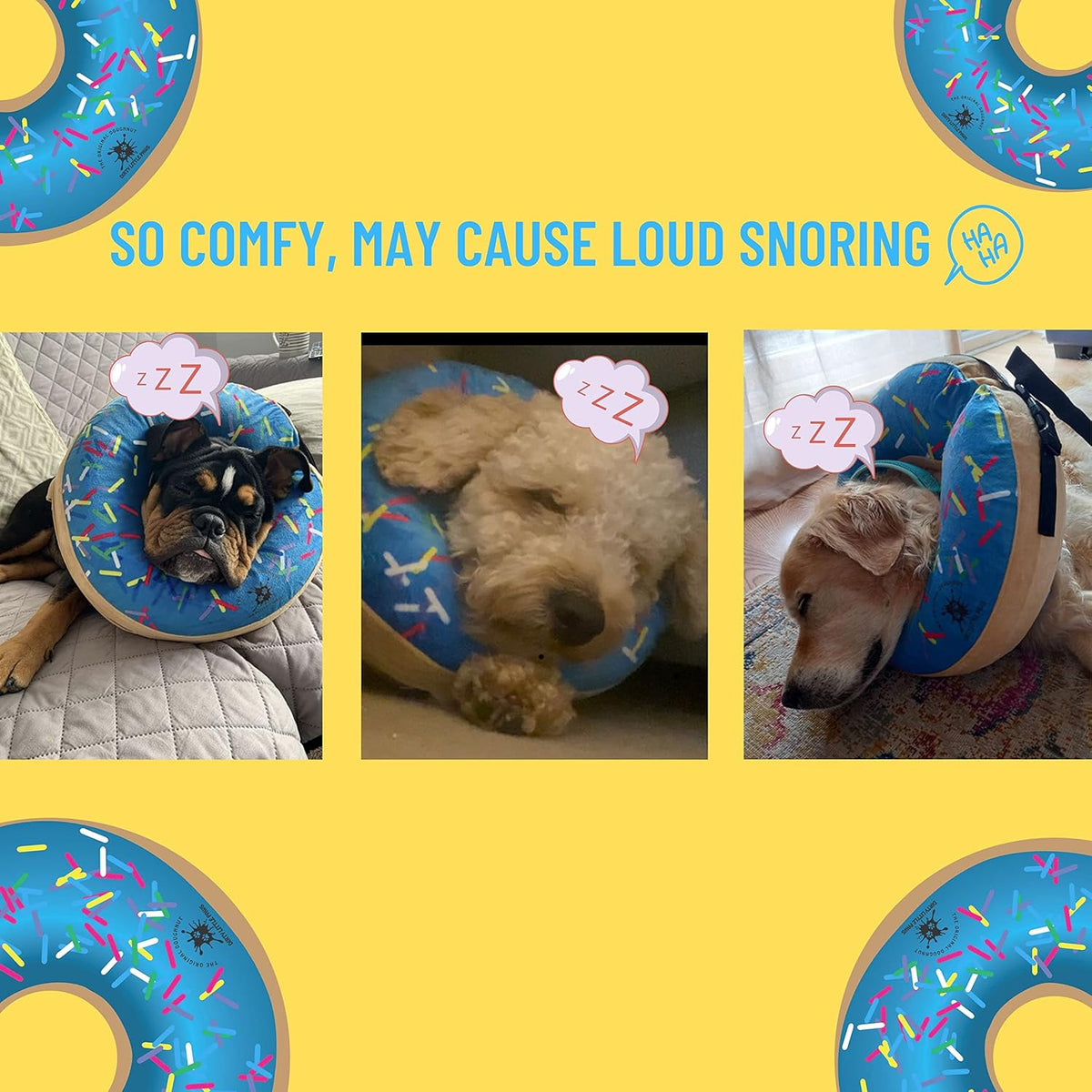Blue inflatable post surgery pet recovery collar for large breeds