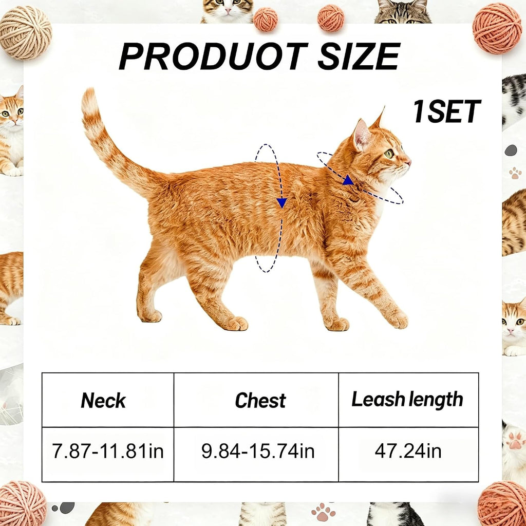 Cat wearing H-shaped harness for safe walking