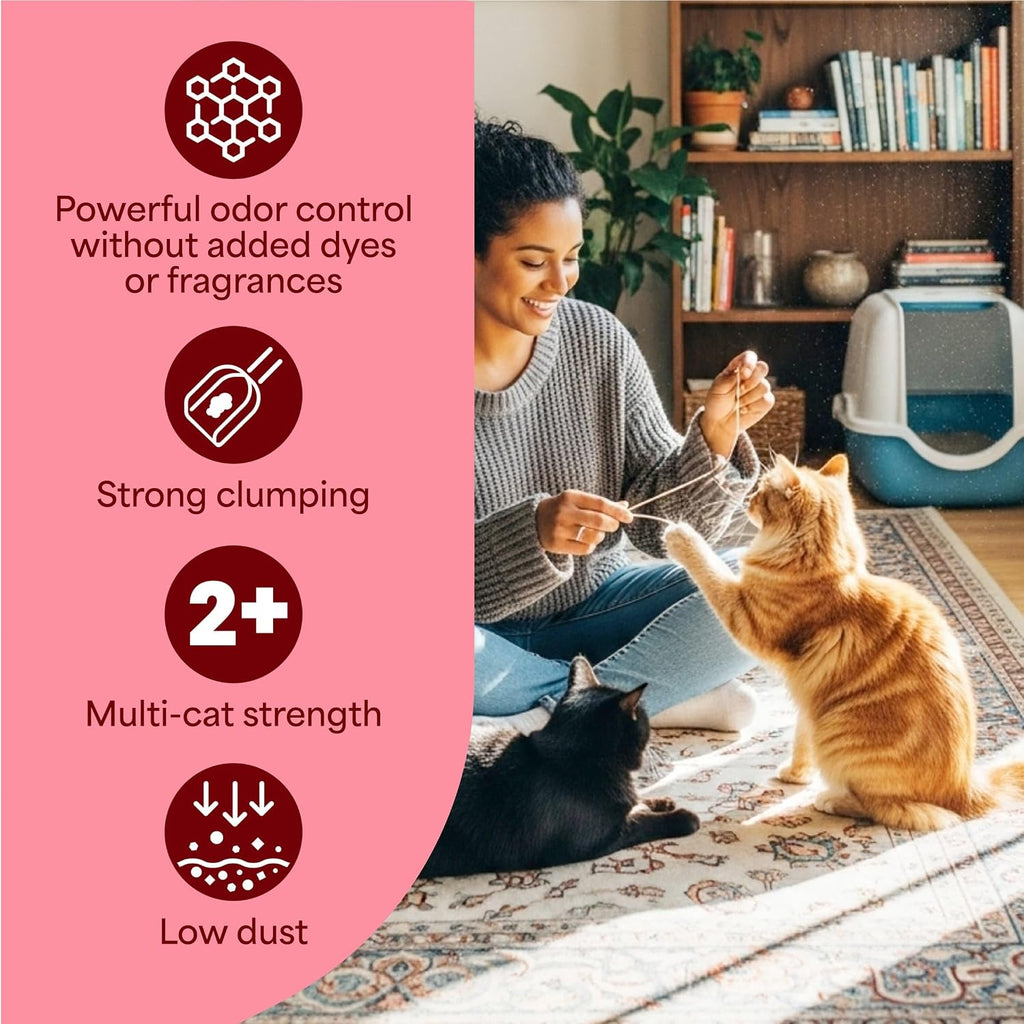 Fresh Step authentic USA imported unscented cat litter box top handle