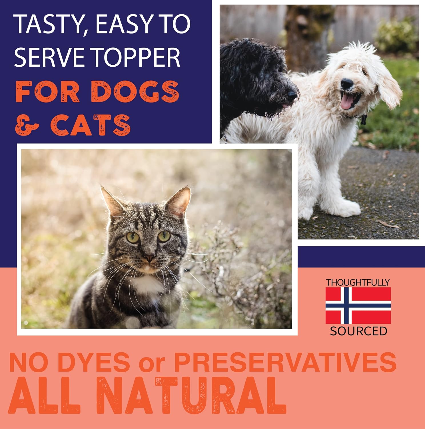 Sustainable toxin free fish oil health supplement for cats and dogs