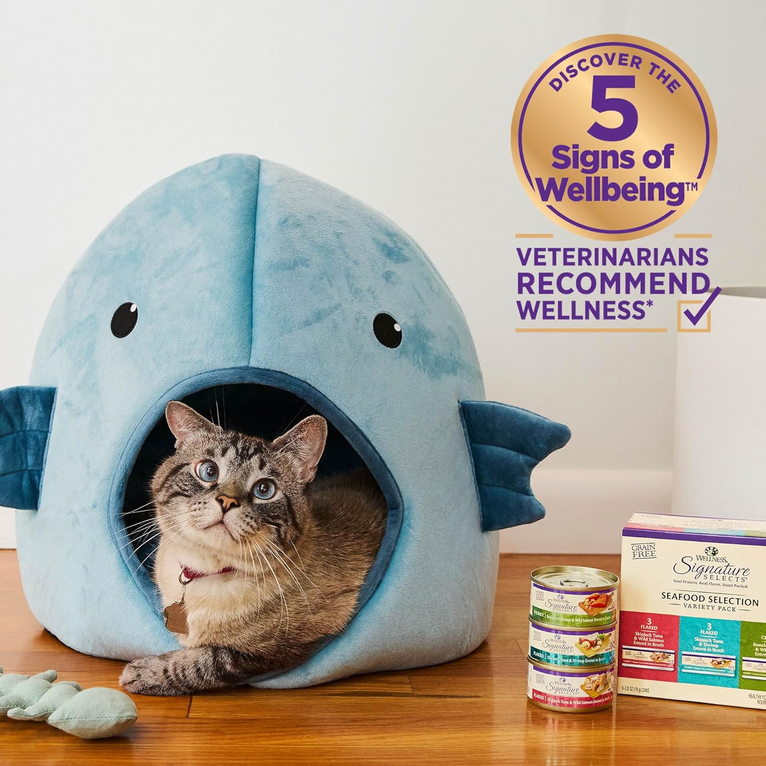 Adult cat eating Wellness CORE flaked tuna and salmon recipe