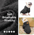 BEAUTYZOO pet sweatshirt back view highlighting the functional pouch pocket and premium texture.