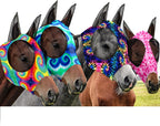 Frienda horse fly mask set with ears front view