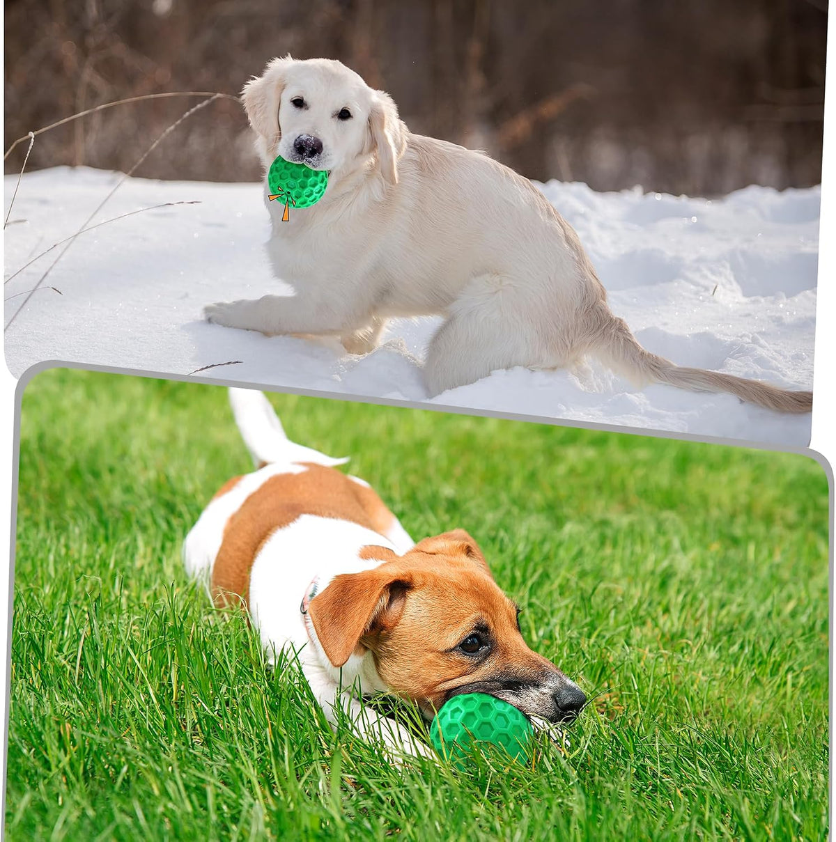 Zrifaqesw dog toy with textured surface for grip
