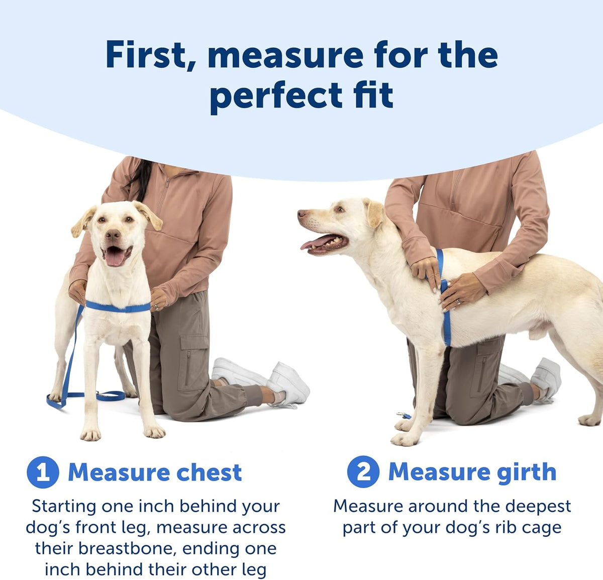 PetSafe ocean blue harness quick-snap buckle detail