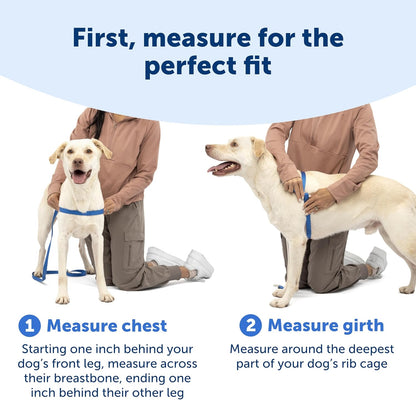 PetSafe harness buckle and adjustable strap mechanism