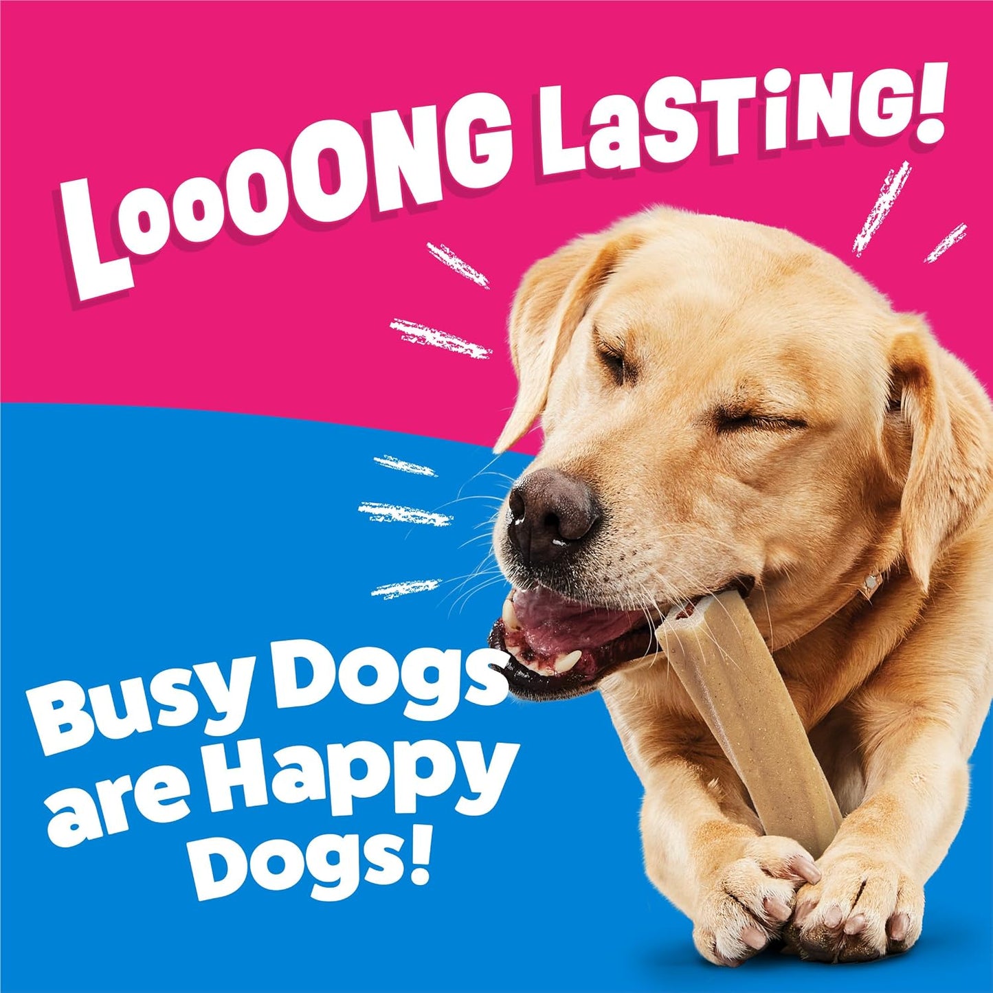 Purina Busy Bone edible treats for small and medium adult dogs