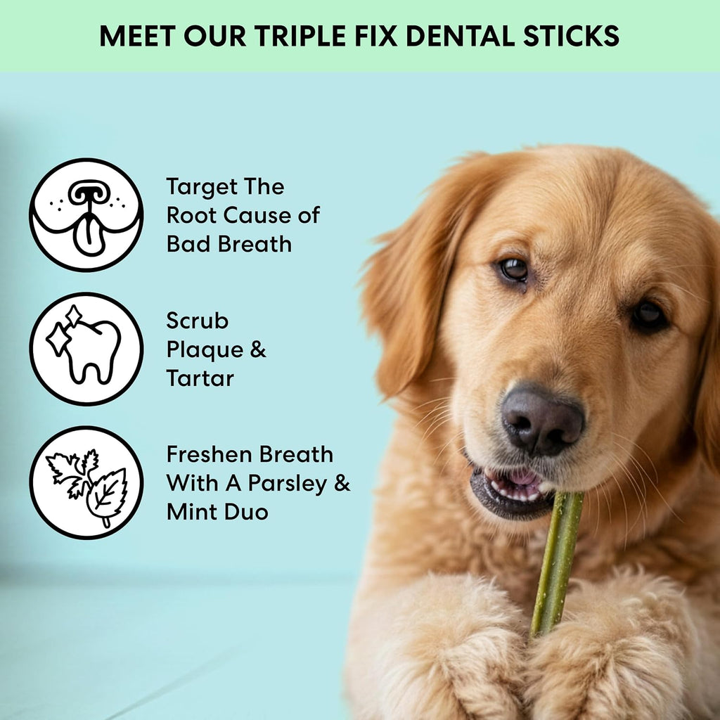 Chicken mint and parsley dog teeth cleaning treats texture close up
