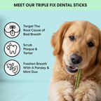 Chicken mint and parsley dog teeth cleaning treats texture close up