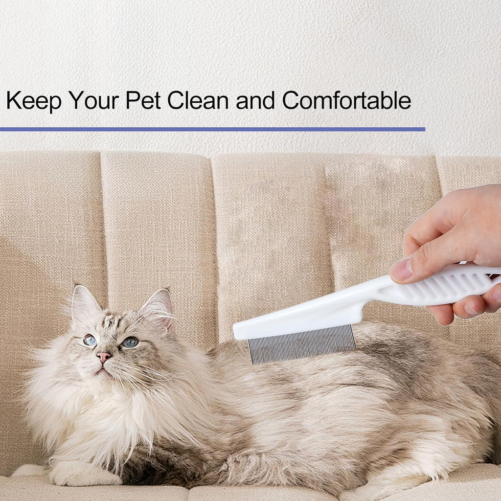 Using flea comb to groom a small cat