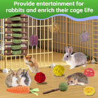 WDEFUN rabbit molar hanging string toy with pine wood dumbbell and unicycle for interactive pet play