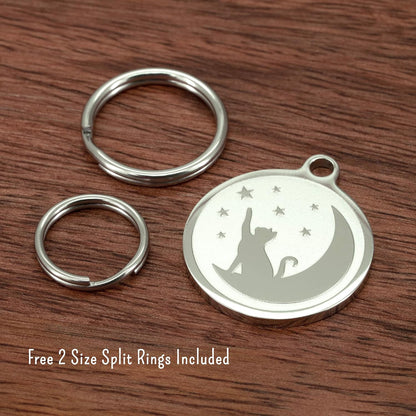 Ultra Joys stainless steel cat collar accessory attached to a colorful kitten harness with a split ring