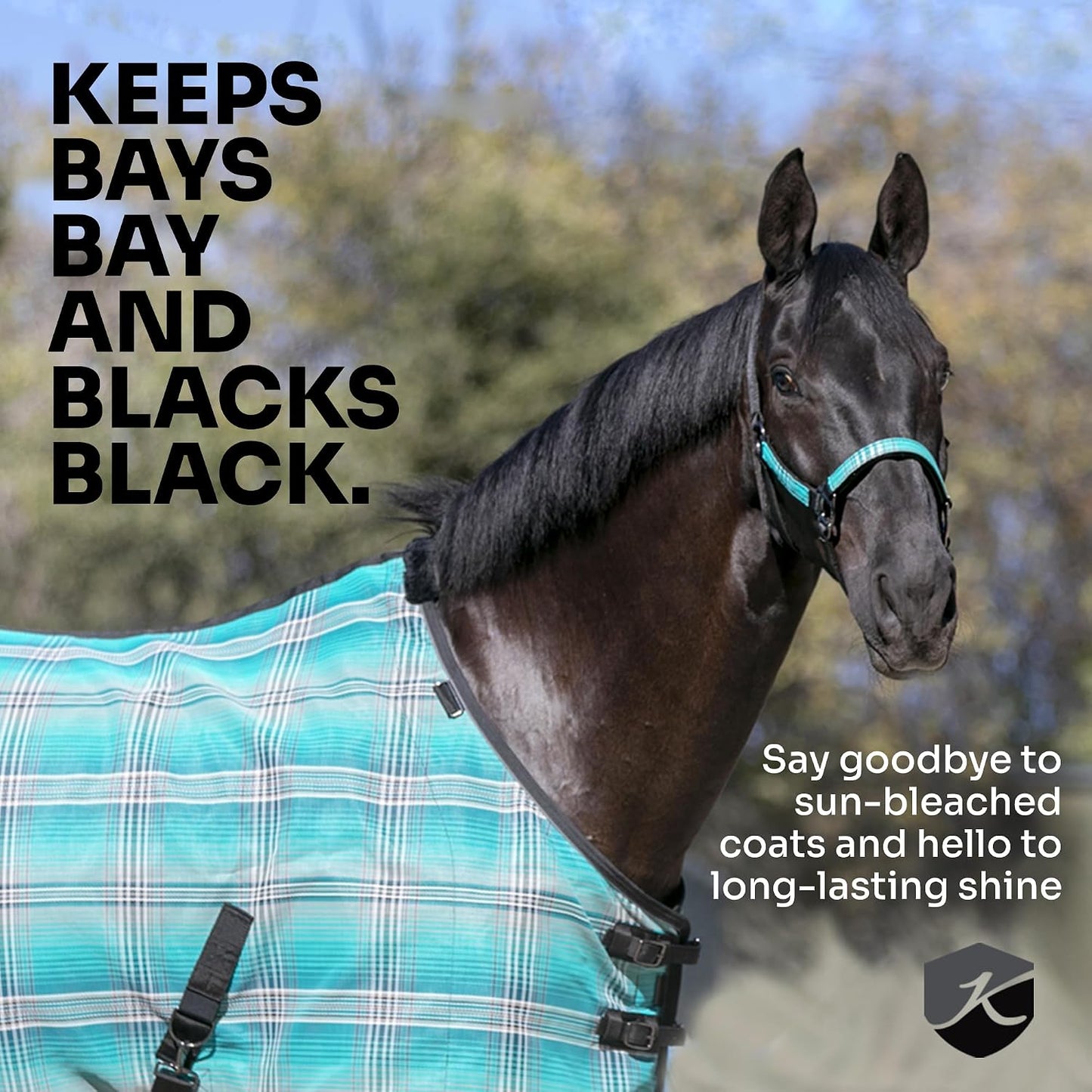USA imported miniature horse fly armor featuring padded wither protection details