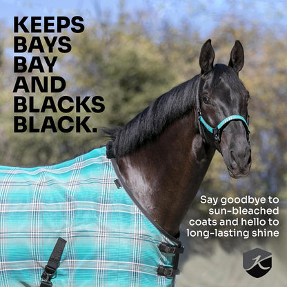 USA imported miniature horse fly armor featuring padded wither protection details