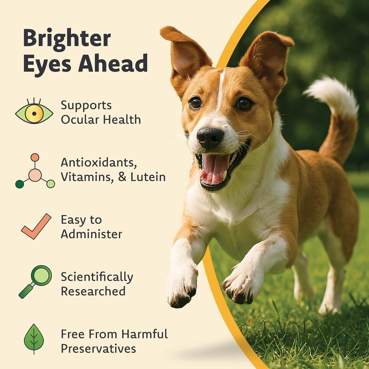Authentic Ocu-GLO USA imported canine vision support supplement