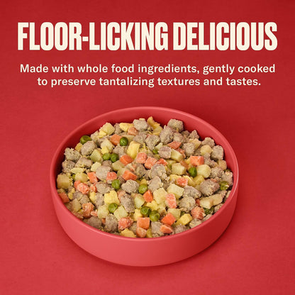 Nom Nom Turkey Fare dog food meal variety pack