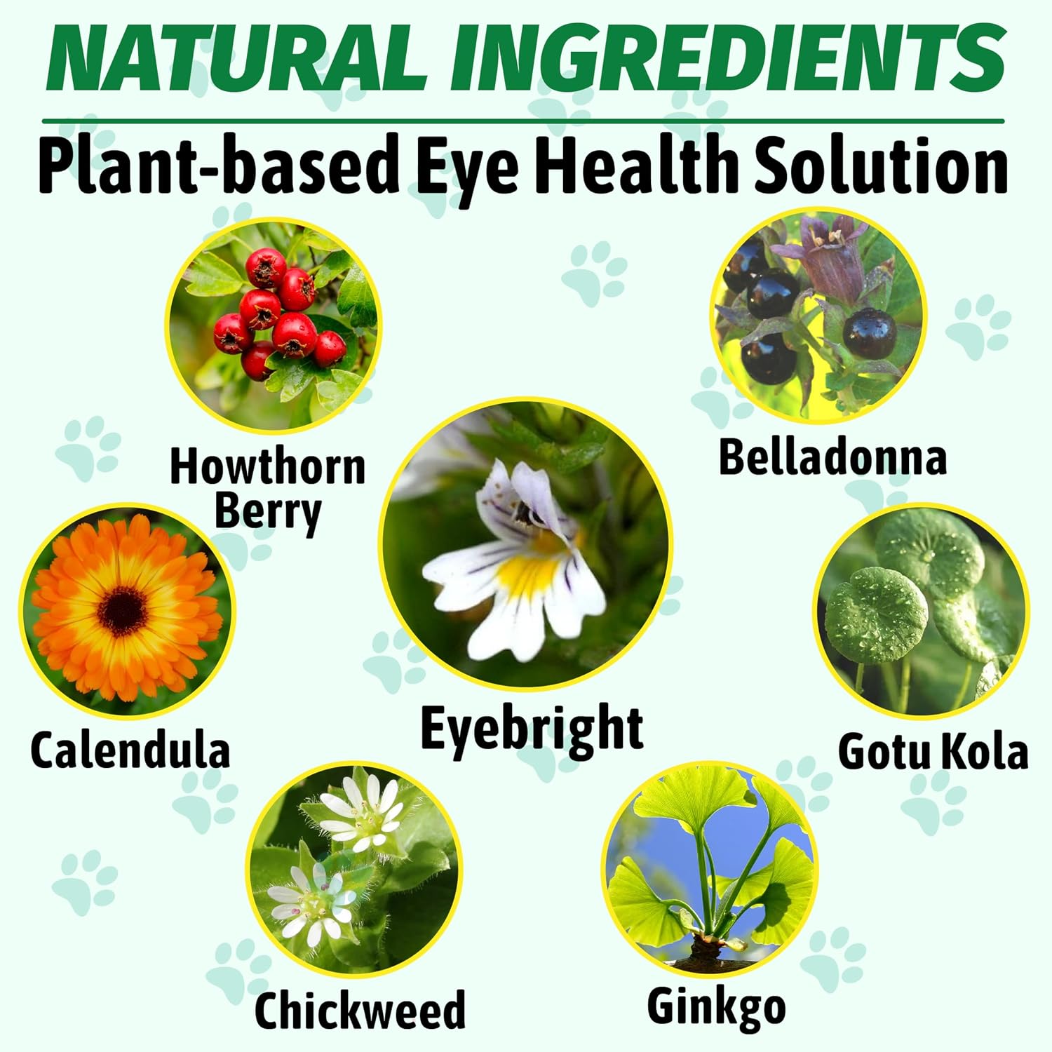 Authentic USA imported dog eye health supplement by VetaSure