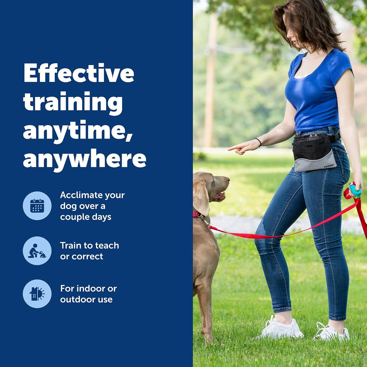 Handheld obedience training tool for pets close up view