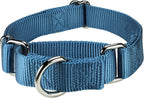 Mikivery heavy duty nickel plated steel hardware close up on training collar