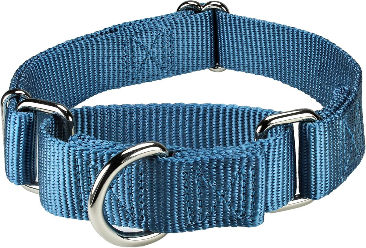 Mikivery heavy duty nickel plated steel hardware close up on training collar