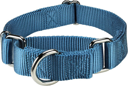 Mikivery heavy duty nickel plated steel hardware close up on training collar