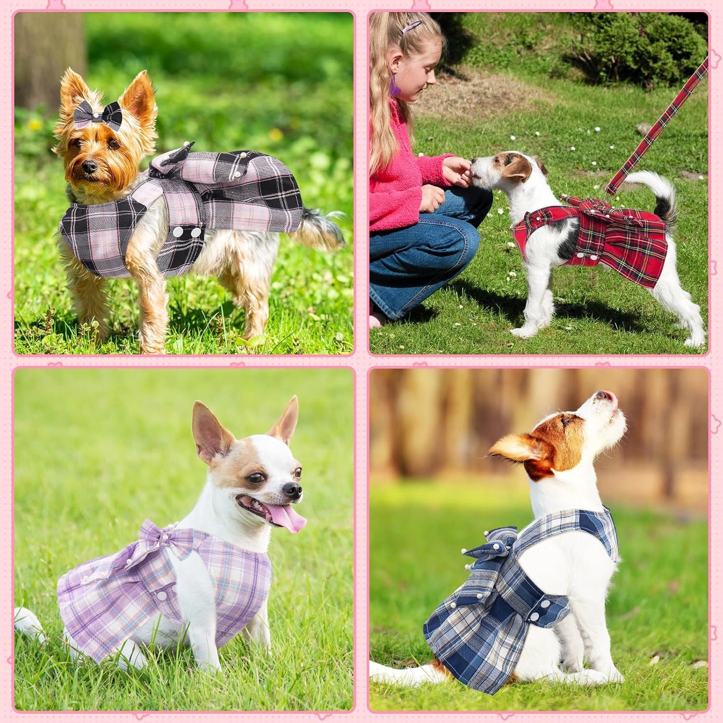 Coppthinktu imported small girl dog dress birthday party outfit