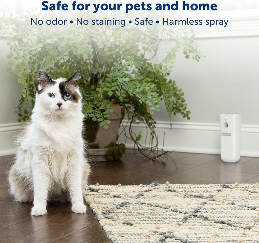 PetSafe SSSCAT motion sensor indoor pet repellent
