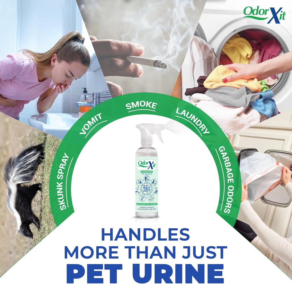 OdorXit 16 Ounce ready to use spray bottle for cat pee smell.