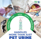 OdorXit 16 Ounce ready to use spray bottle for cat pee smell.
