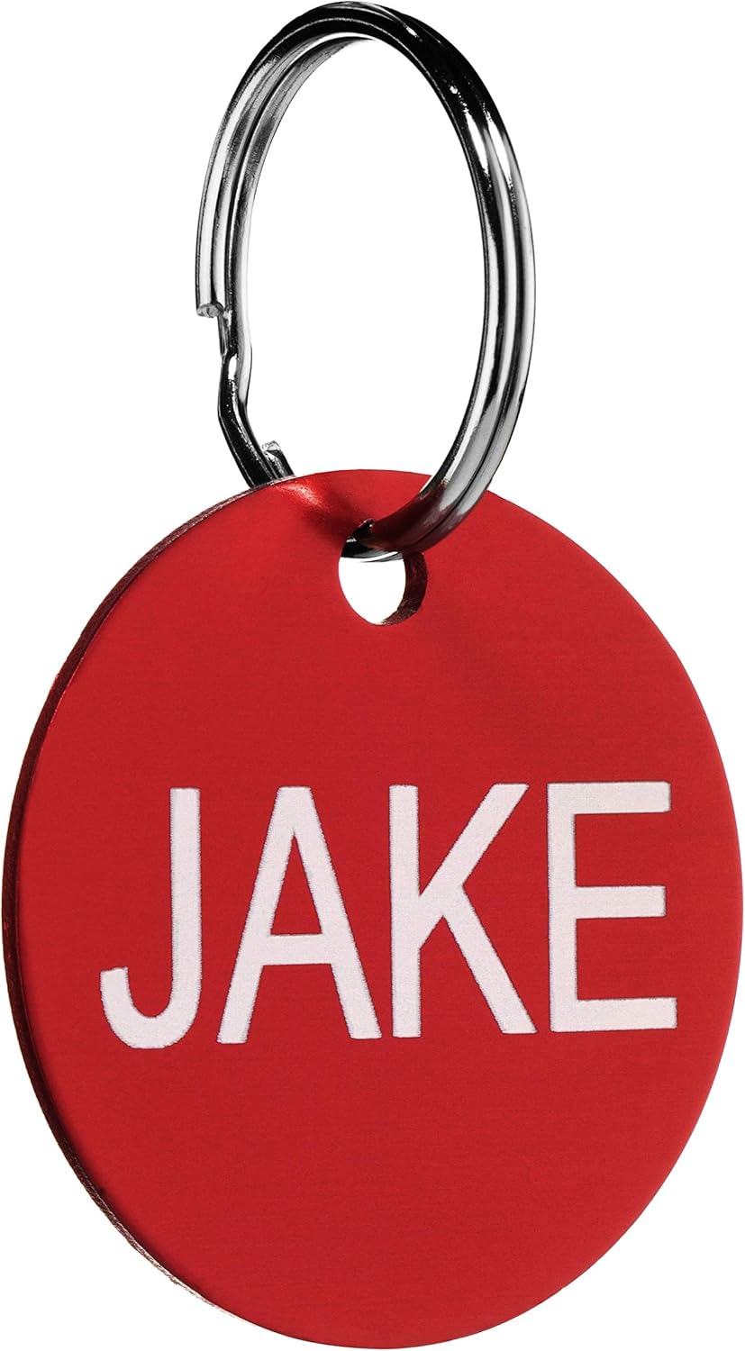 Custom engraved puppy name tag in bright blue anodized finish