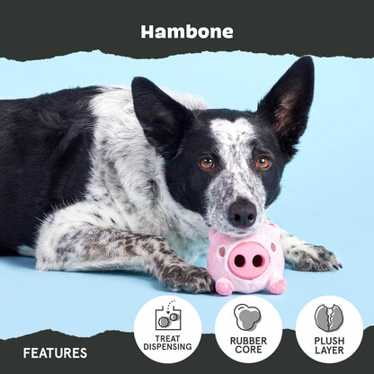 Barkbox Super Chewer Hambone pig toy for large dogs