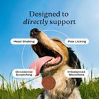 PetLab Co. dog seasonal allergy supplement back label with feeding guidelines.