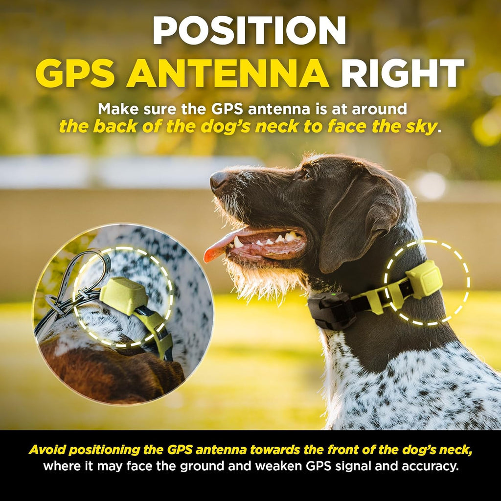 Close up view of the adjustable stimulation contacts on the Dogtra wireless dog fence collar.