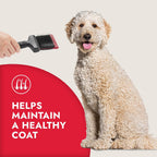 KONG dog grooming tool showing thumb rest for better control