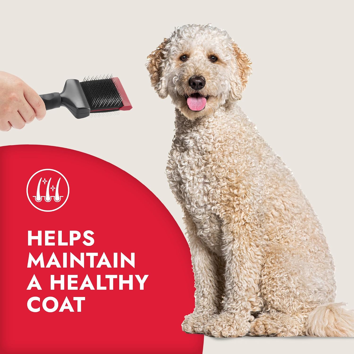 KONG dog grooming tool showing thumb rest for better control