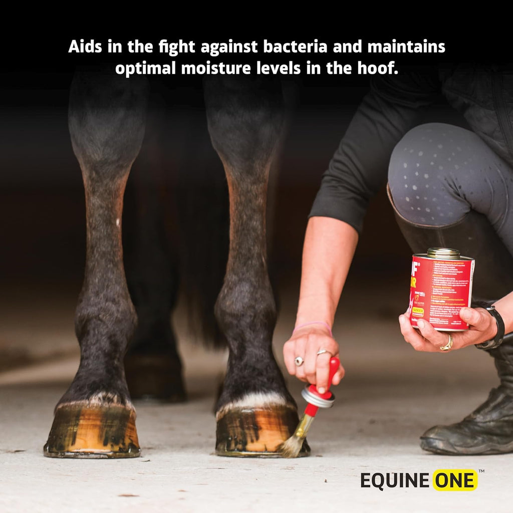 Mineral Medix Equine One all natural solution for equine thrush and abscess care